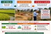 CHUYỂN ĐẤT TRỒNG LÚA SANG ĐẤT Ở CÓ BỊ PHẠT ĐẾN 400 TRIỆU ĐỒNG?